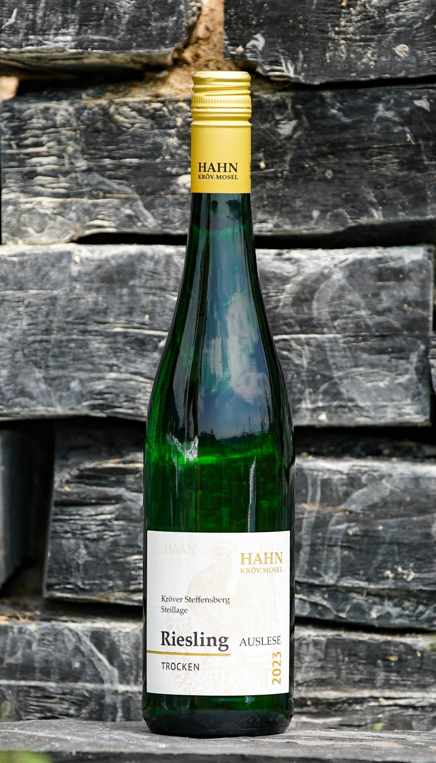2023 Riesling Steillage trocken