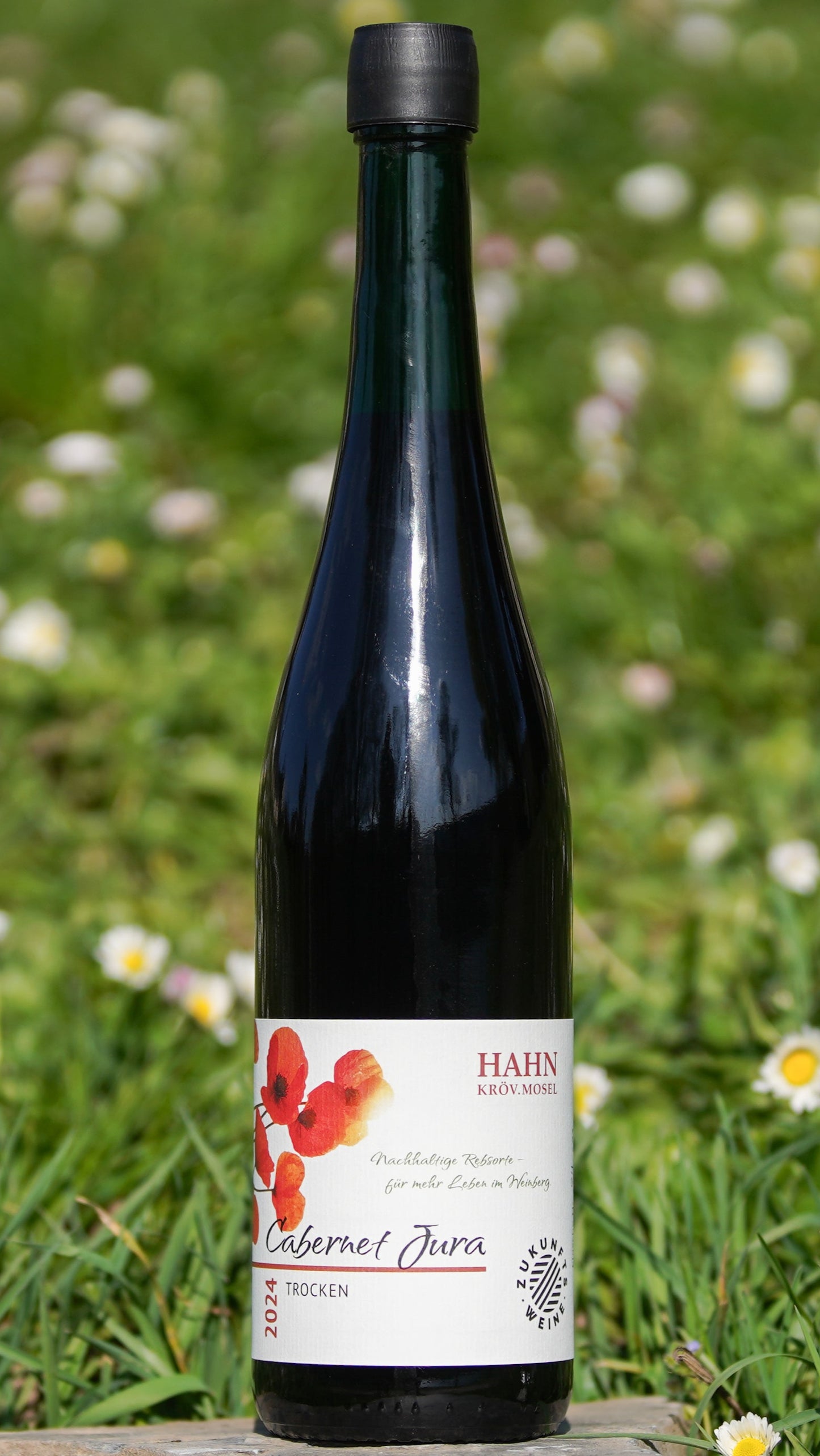 2024 Cabernet Jura trocken