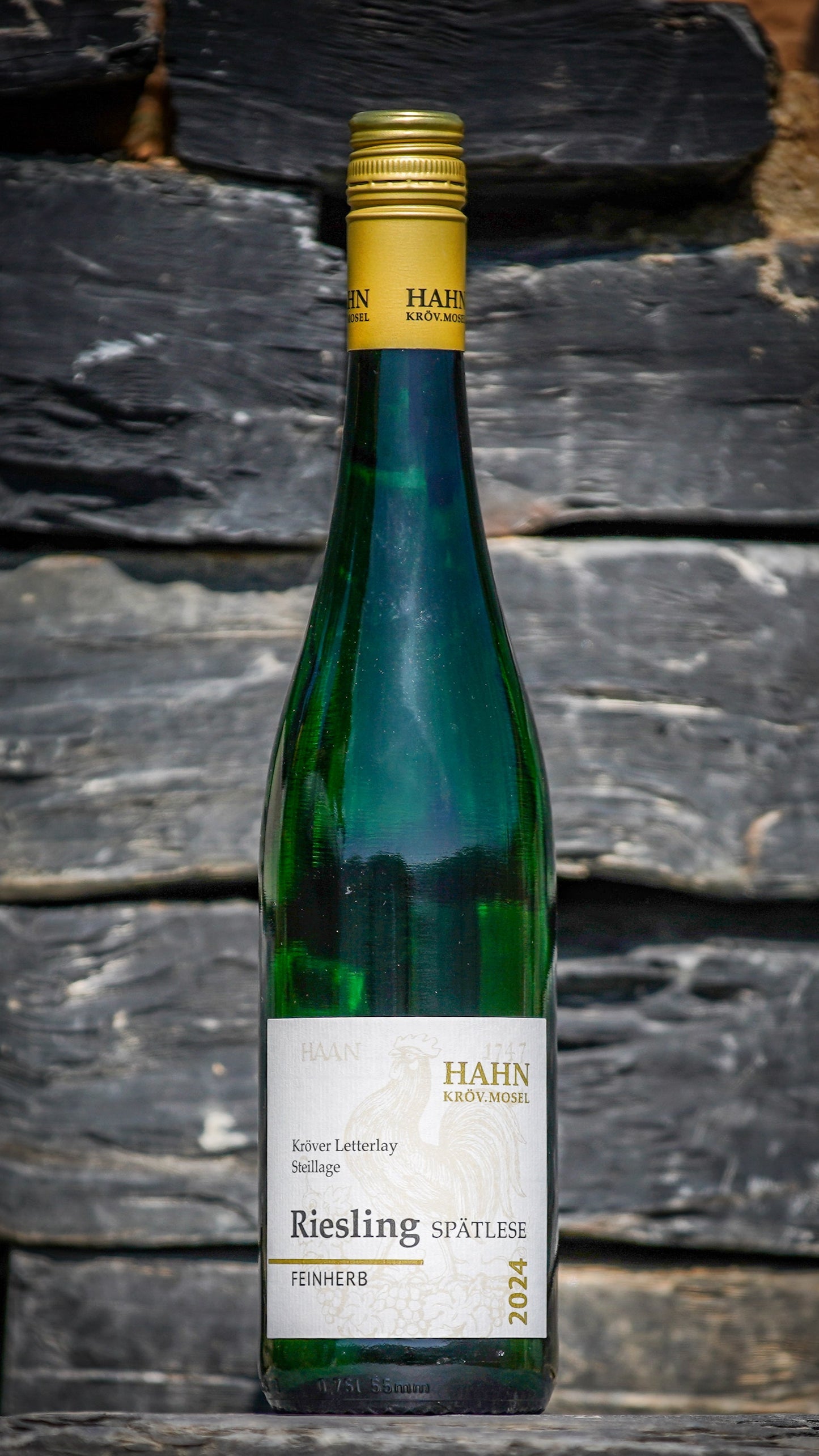 Riesling feinherb 2024 von der Steillage Letterlay – Weingut Hahn Mosel