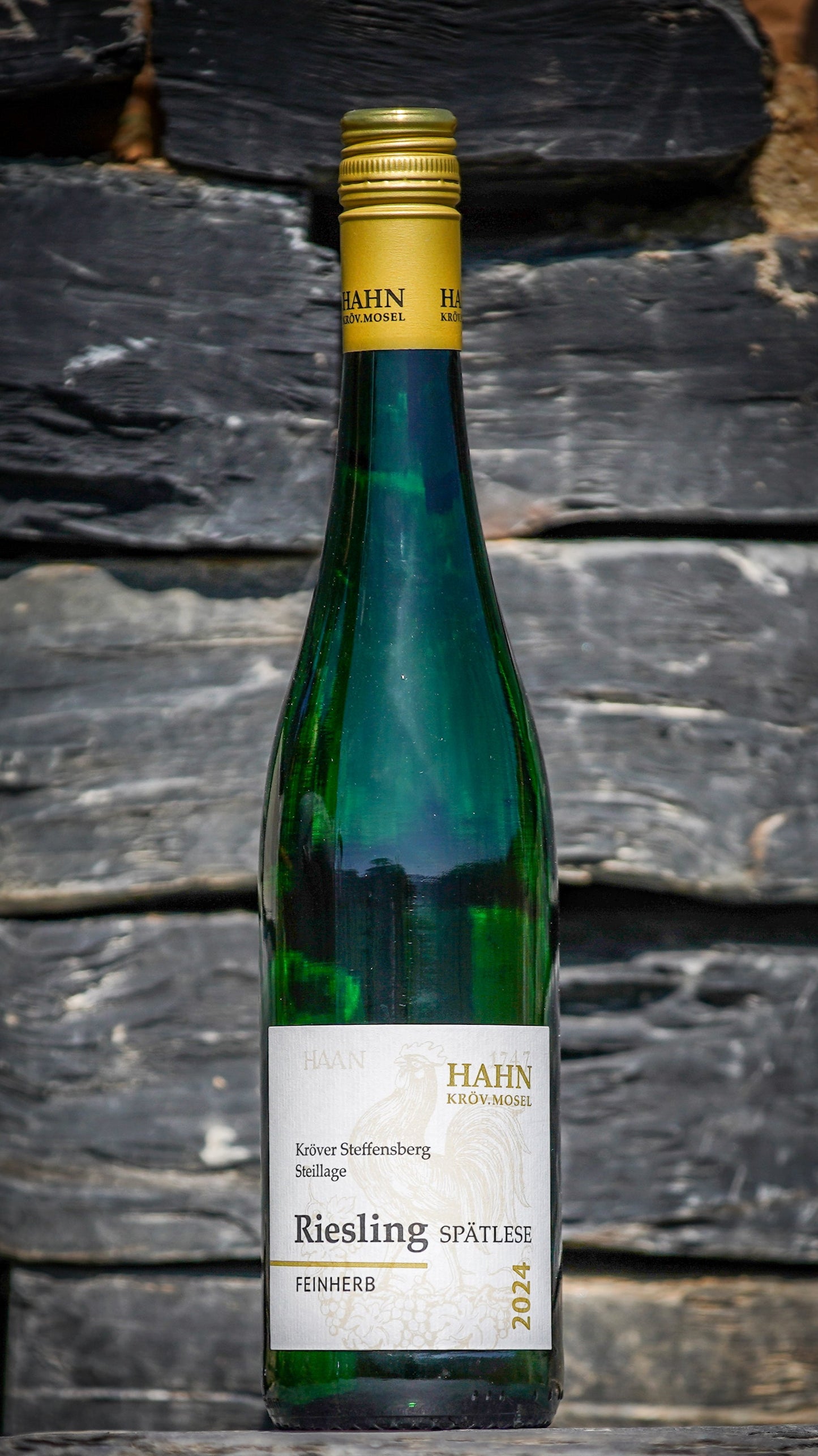 Riesling feinherb 2024 von der Steillage Steffensberg – Weingut Hahn Mosel