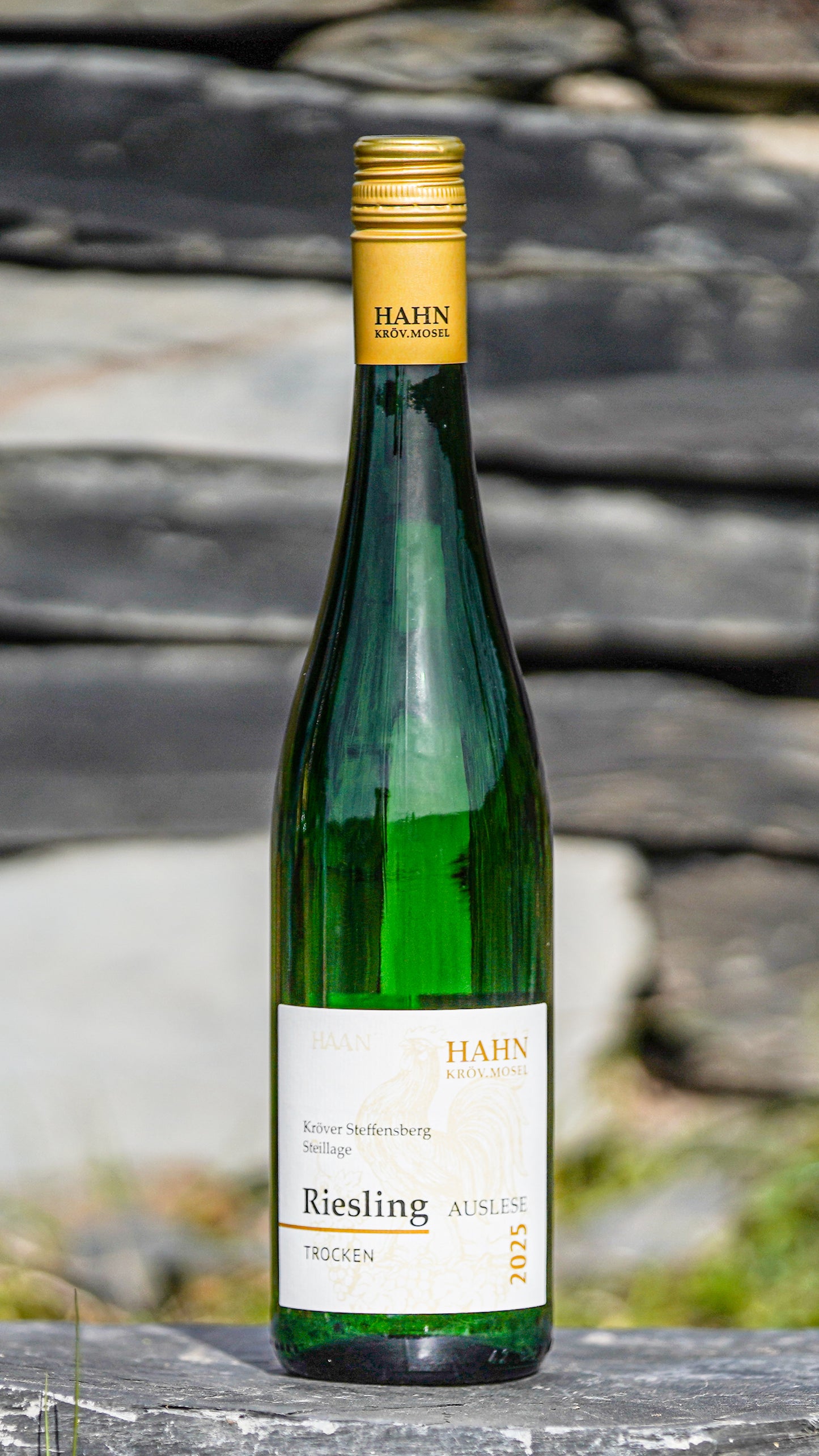 Riesling trocken 2025 von der Steillage Steffensberg – Weingut Hahn Mosel