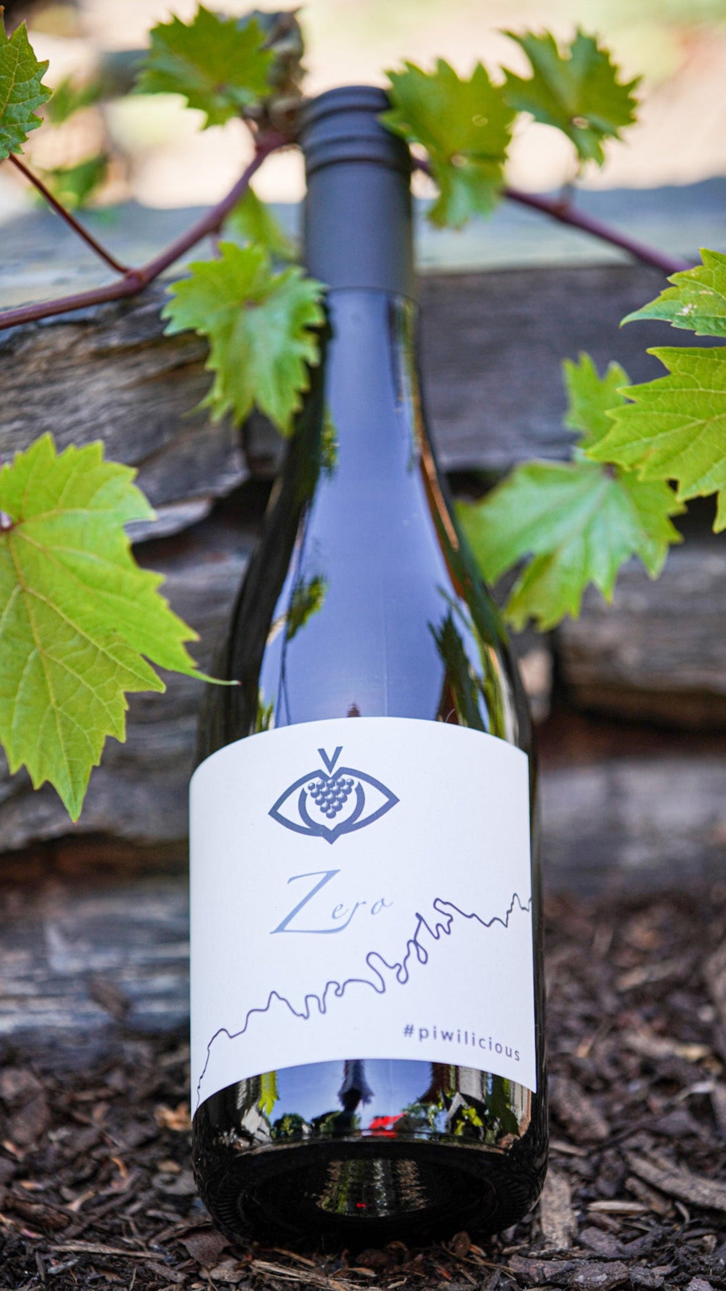 Vision Zero #piwilicious