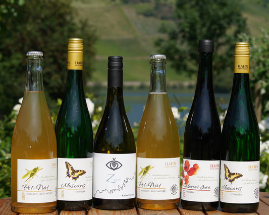 Entdeckerpaket ZUKUNFTSWEIN