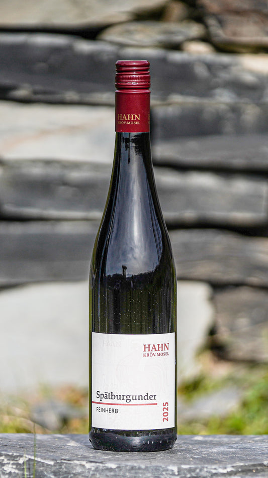 Spätburgunder feinherb Rotwein Weingut Hahn Mosel