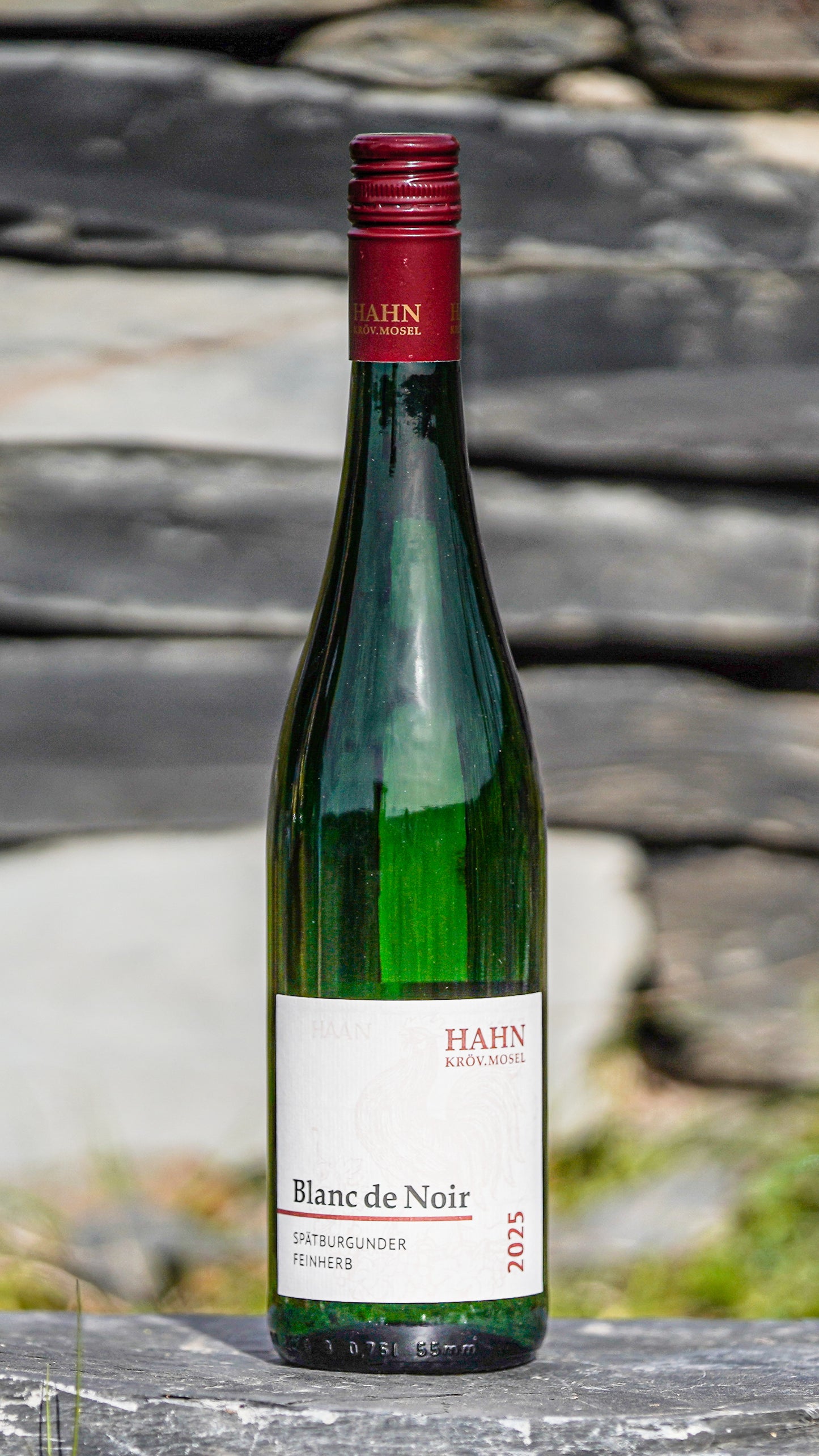 Blanc de Noir feinherb – Weißwein aus Spätburgunder Weingut Hahn Mosel