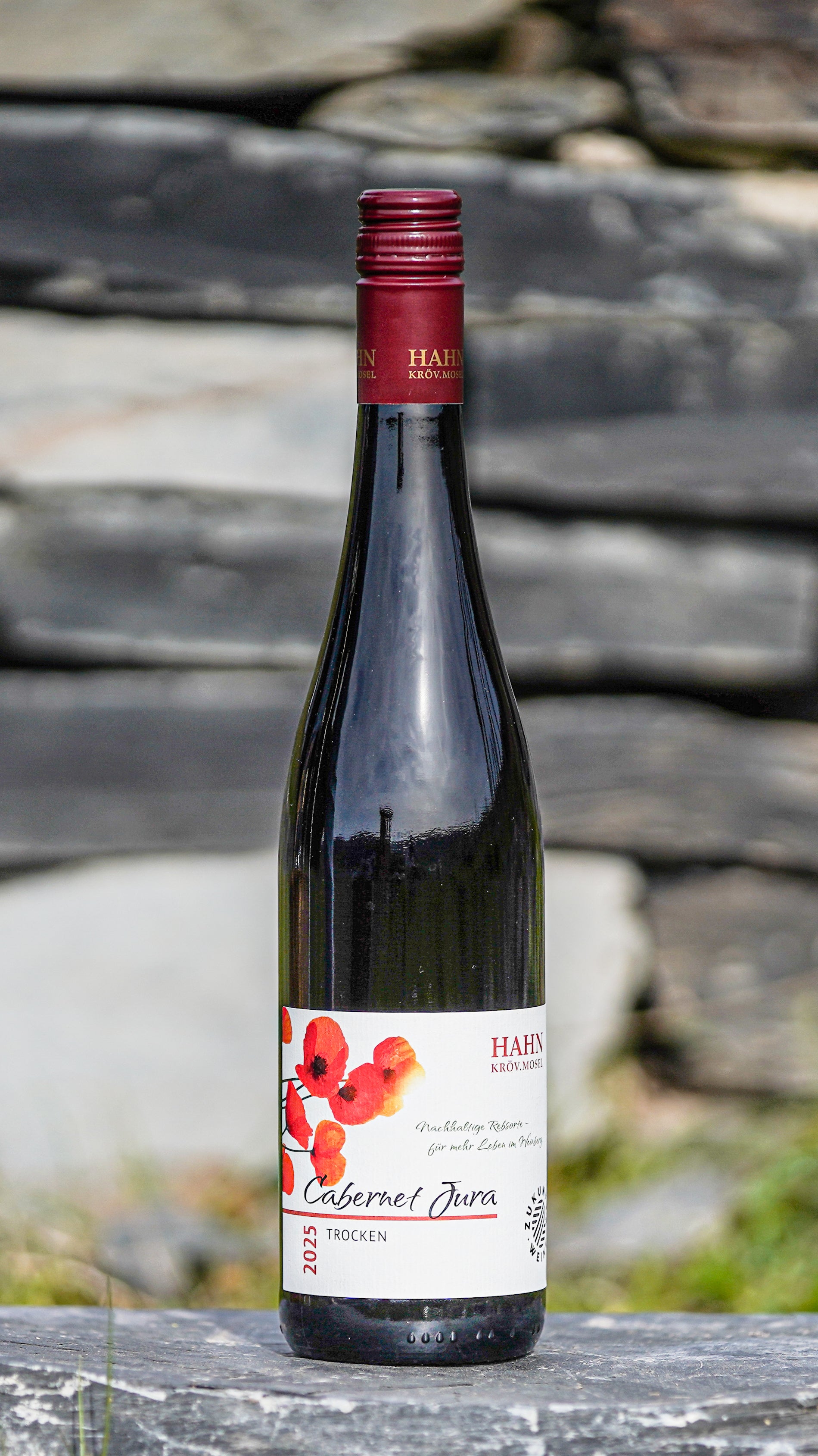 Cabernet Jura trocken 2025 Rotwein – Weingut Hahn Mosel