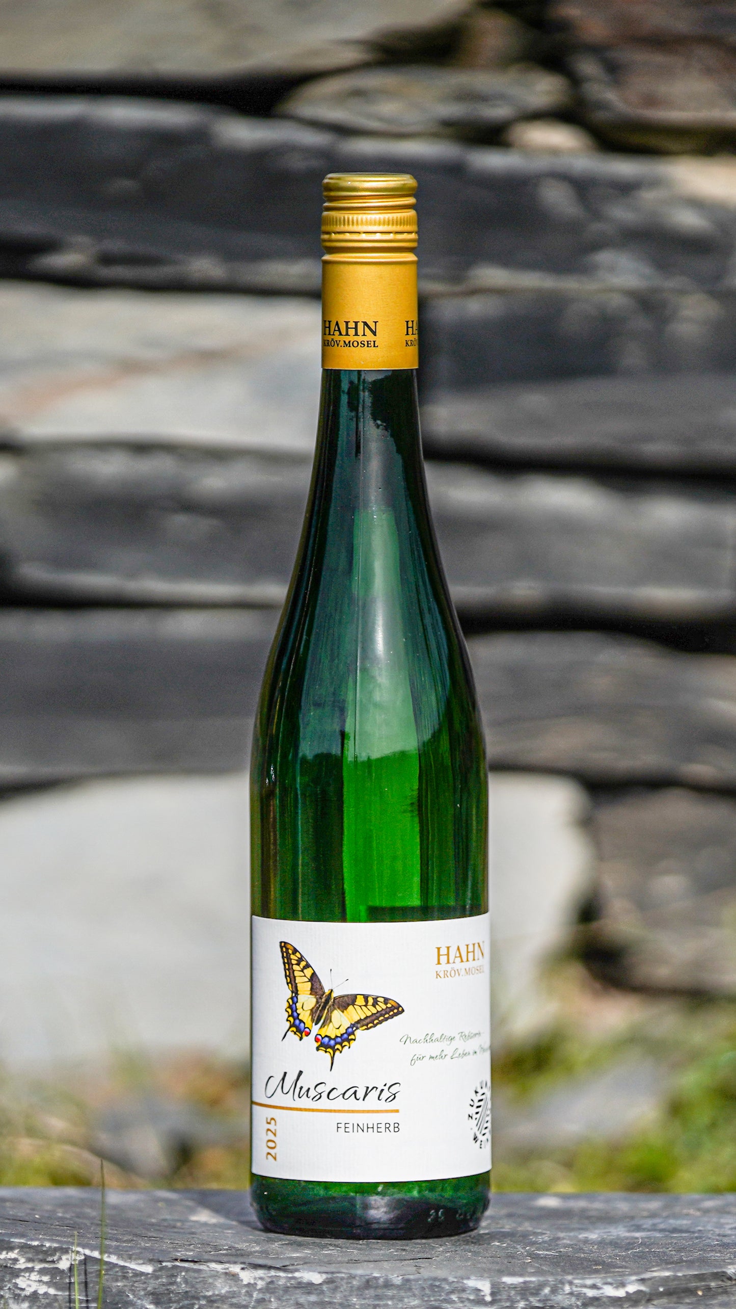 Muscaris feinherb 2025 – aromatischer Weißwein Weingut Hahn Mosel