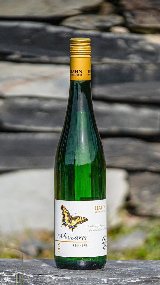 Muscaris feinherb 2025 – aromatischer Weißwein Weingut Hahn Mosel