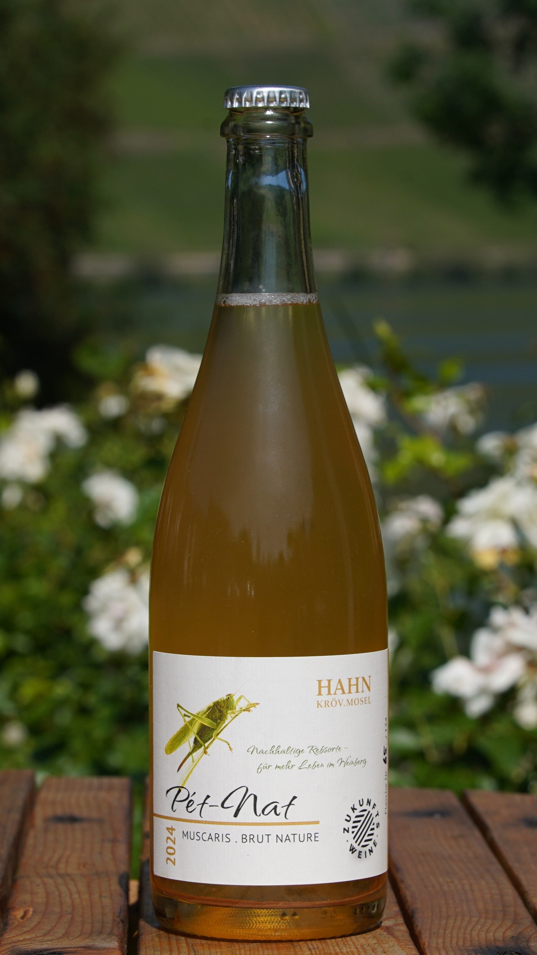 Muscaris Pét Nat 2025 – Naturwein Weingut Hahn Mosel