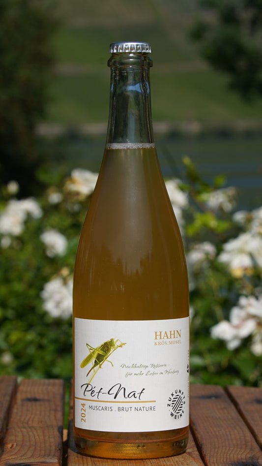 Muscaris Pét Nat 2025 – Naturwein Weingut Hahn Mosel