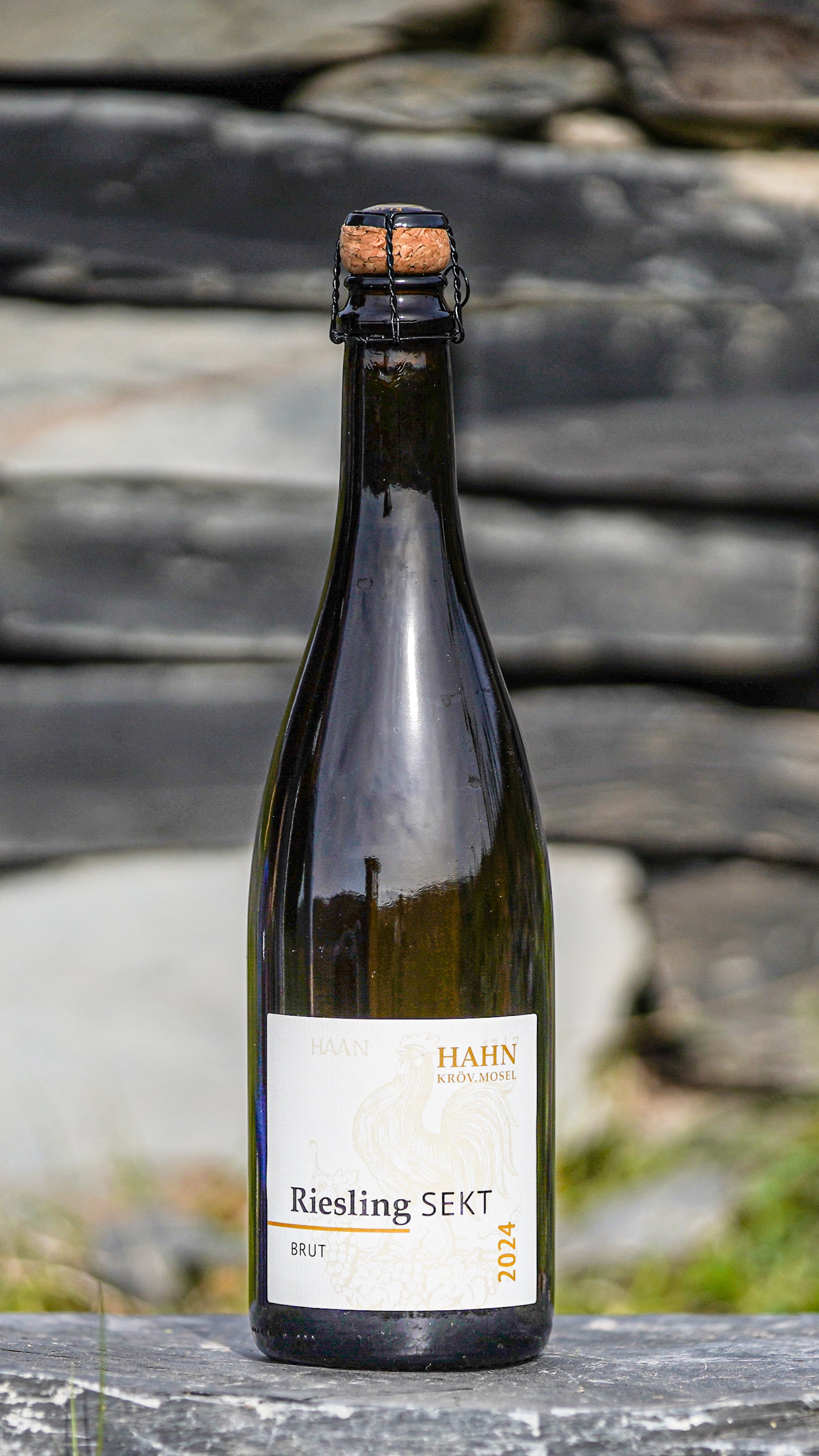 Riesling Sekt brut – Winzersekt Weingut Hahn Mosel