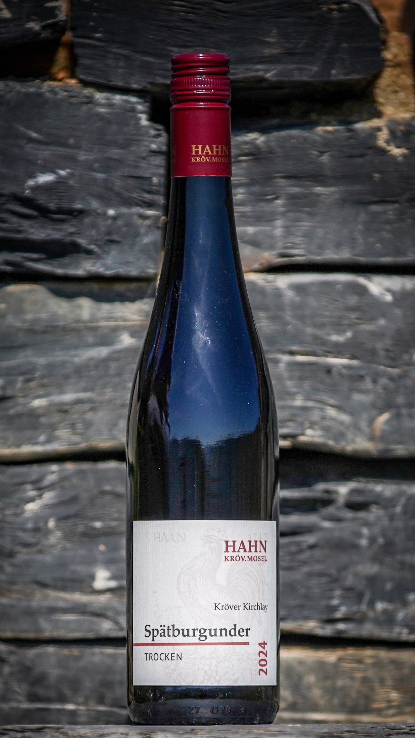 Spätburgunder trocken 2024 Rotwein – Weingut Hahn Mosel