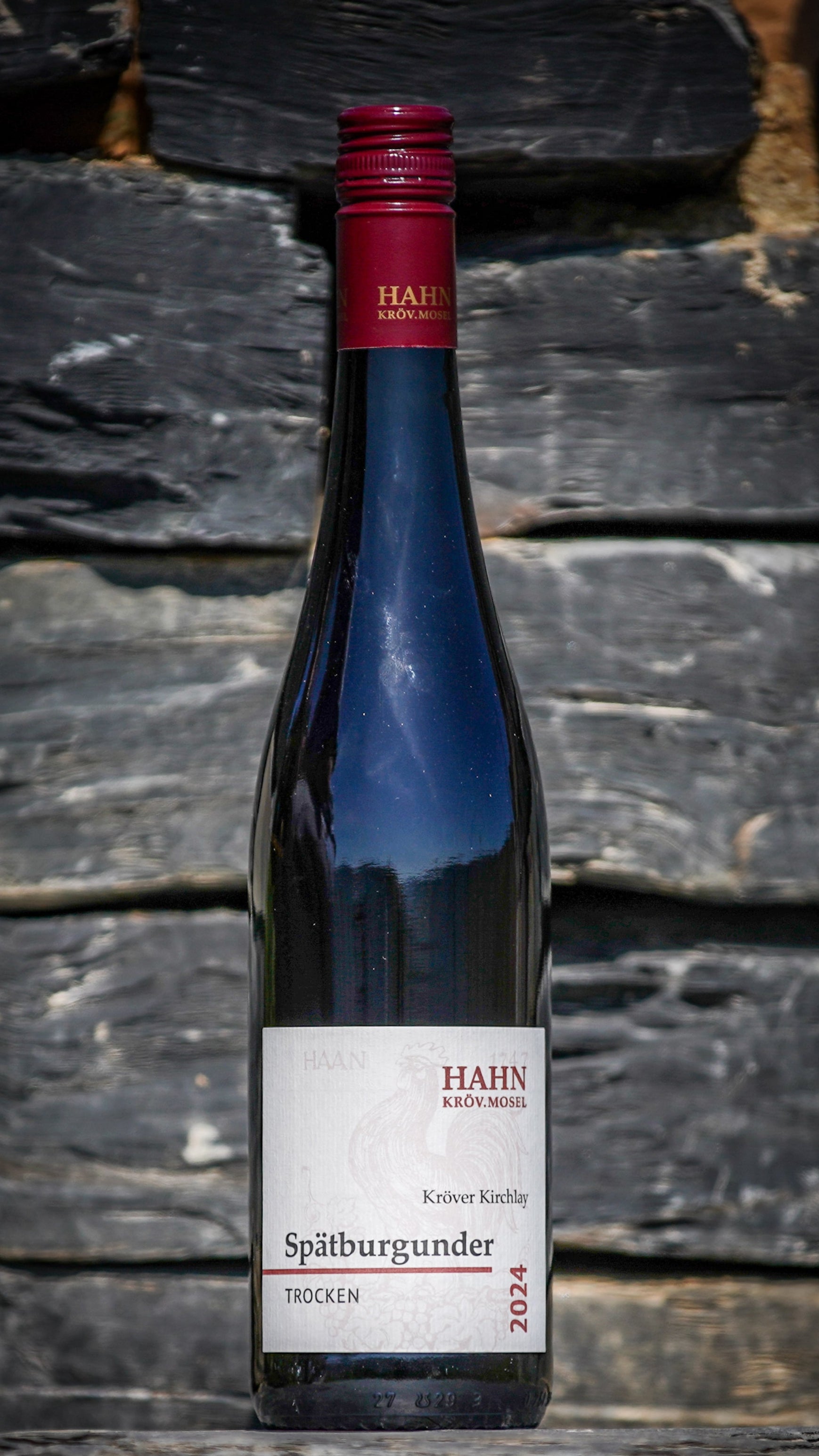 Spätburgunder trocken 2024 Rotwein – Weingut Hahn Mosel
