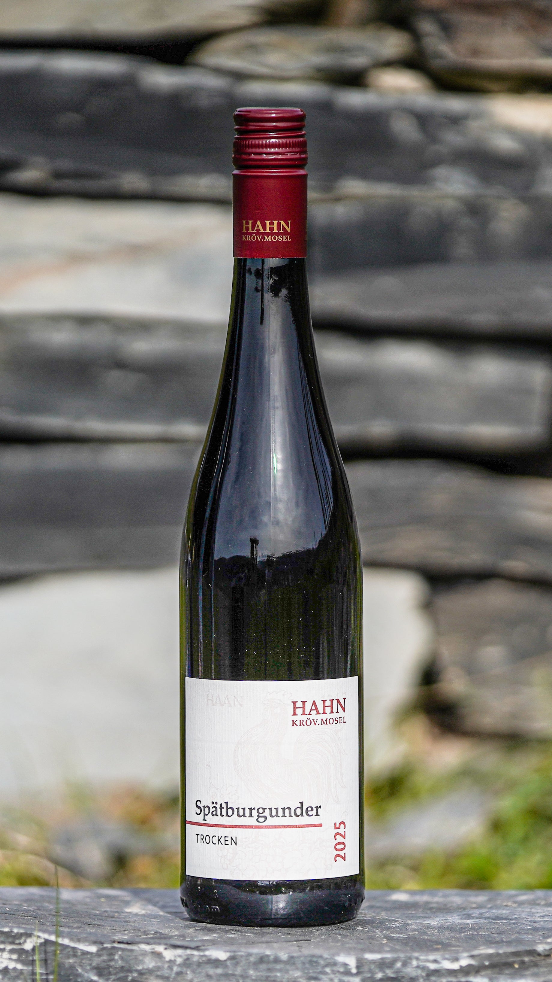Spätburgunder trocken 2025 Rotwein – Weingut Hahn Mosel